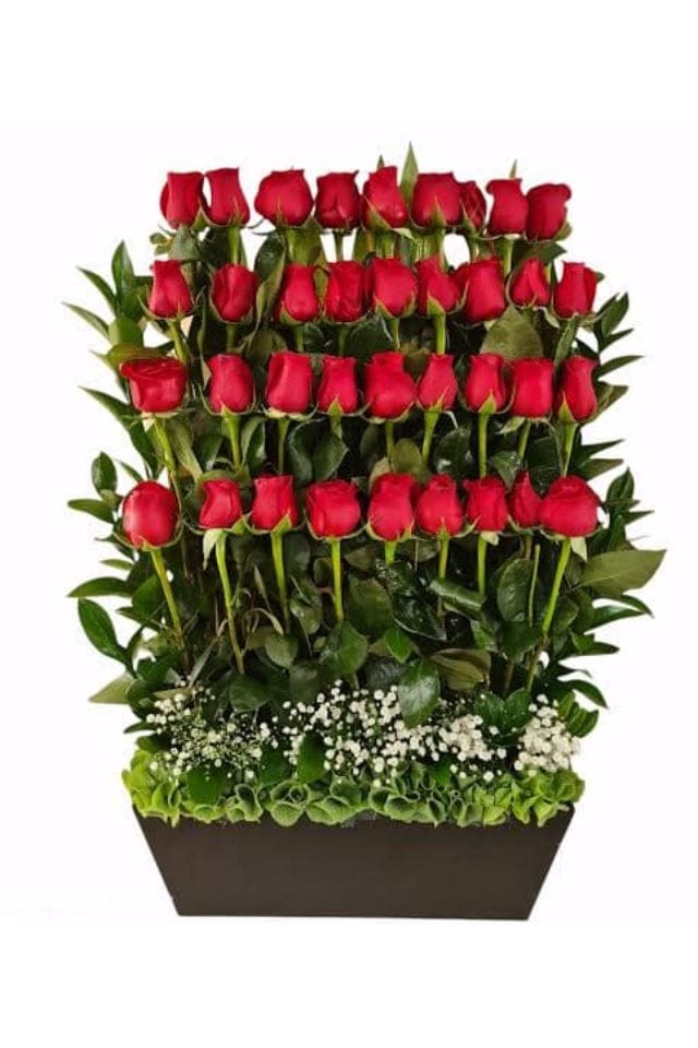 ARREGLO DE 36 ROSAS ROJAS DE INVERNADERO ESCALONADAS PUESTAS EN DELICADA CAJA DE MADERA