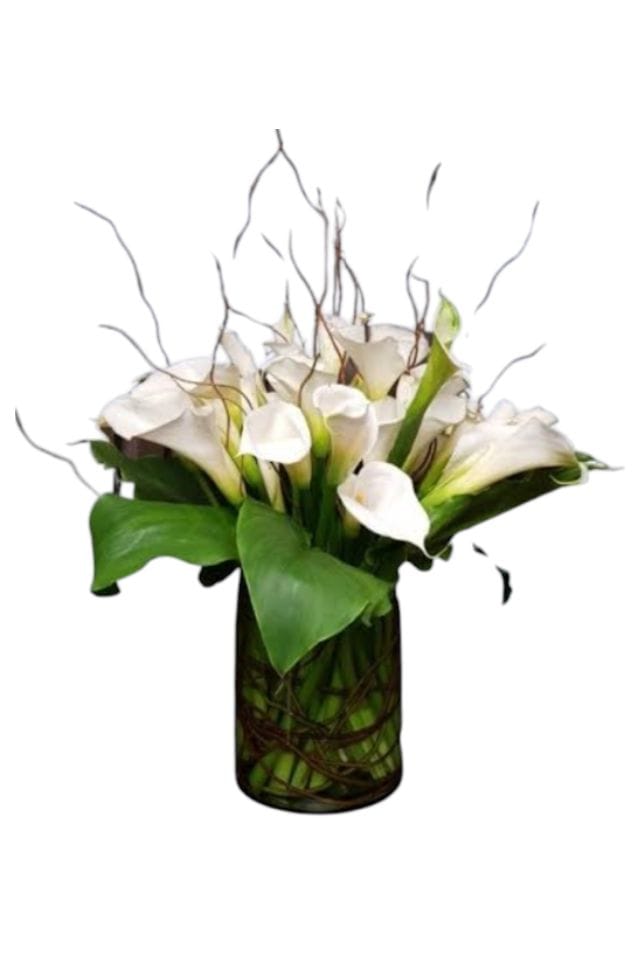 AREEGLO DE 20 ALCATRACES PUESTOS UN BASE DE CRISTAL CILINDRIVA CON SAUCE ELECTRICO