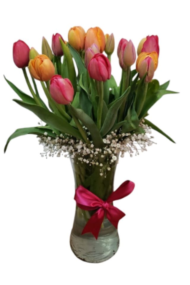 FLORERO DE 20 TULIPANES MULTICOLOR, GIPSOFILIA Y LISTON DECORATIVO.