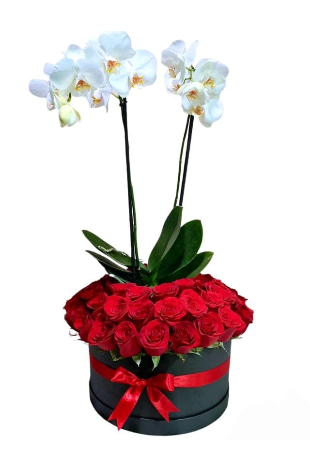 ORQUIDEA PHALAENOPSIS BLANCA CON ROSAS ROJAS COLOCADAS EN CAJA DE MADERA COLOR CHOCOLATE